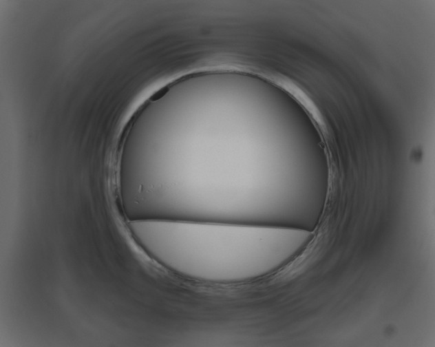 X0000096631101200802050928