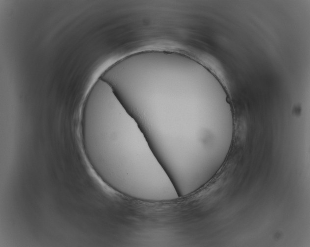 X0000096631103200802050928