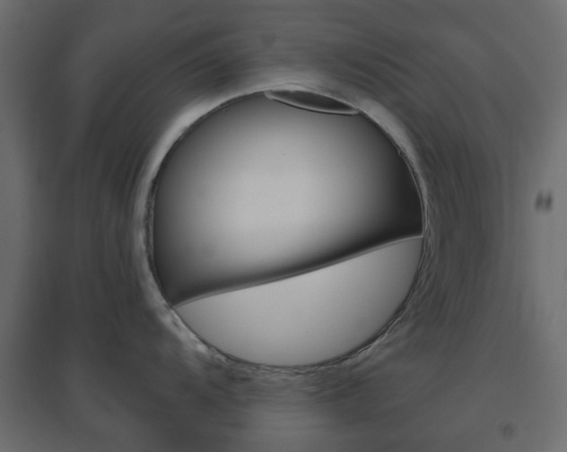 X0000096631104200802050928