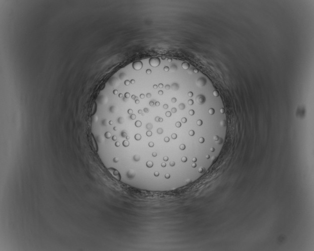 X0000096631105200802050927