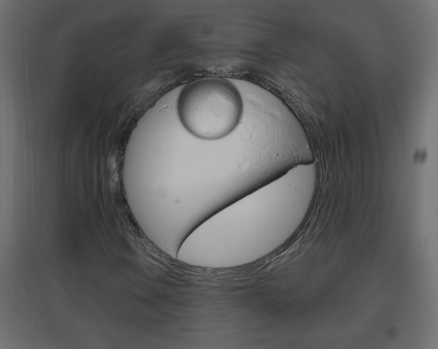 X0000096631106200802050927