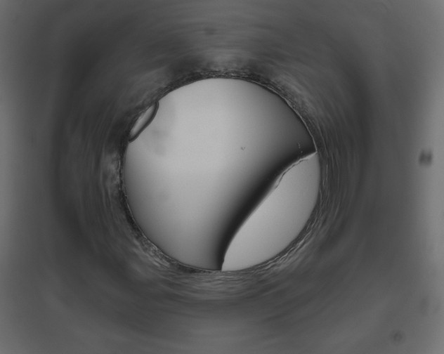 X0000096631107200802050927