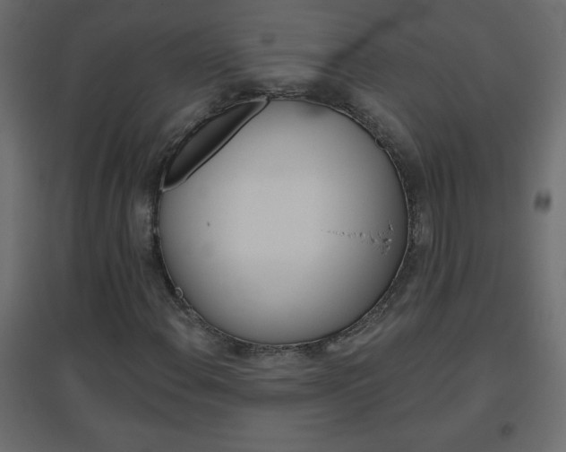 X0000096631108200802050927