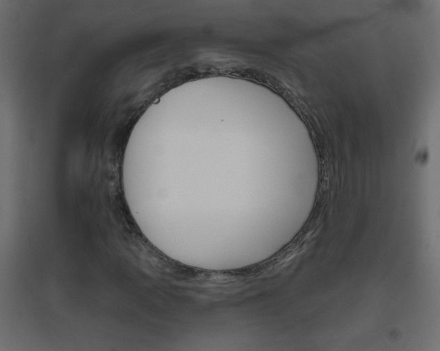 X0000096631109200802050927