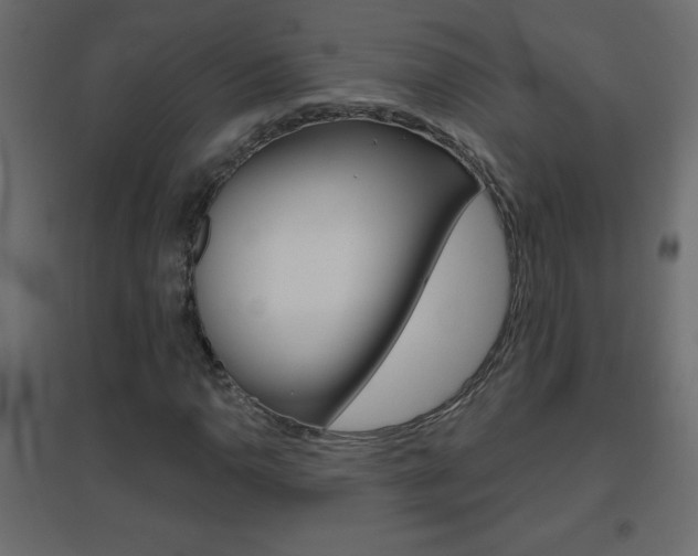X0000096631110200802050927
