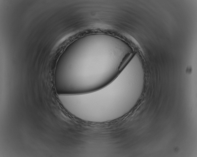 X0000096631112200802050927