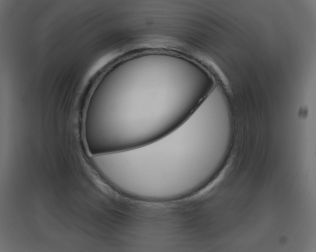 X0000096631114200802050927