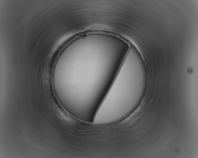 X0000096631115200802050927