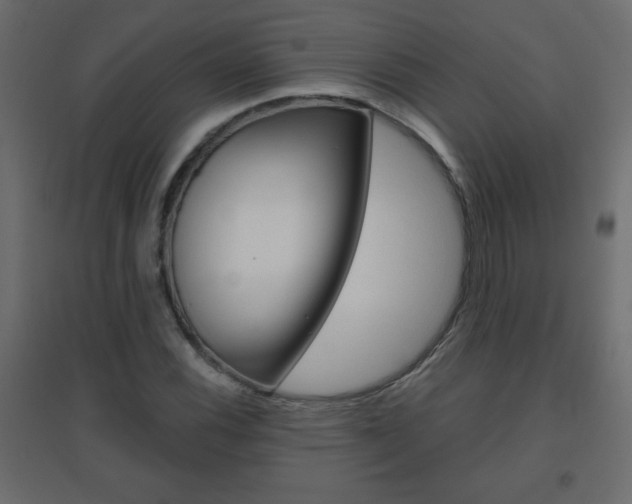 X0000096631116200802050927