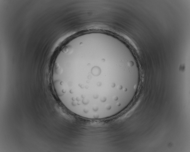 X0000096631117200802050927