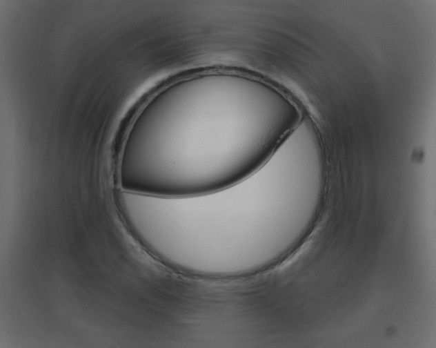 X0000096631118200802050927