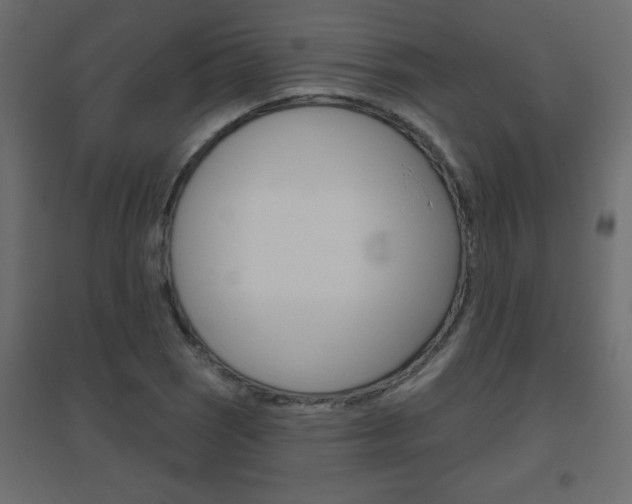 X0000096631121200802050927