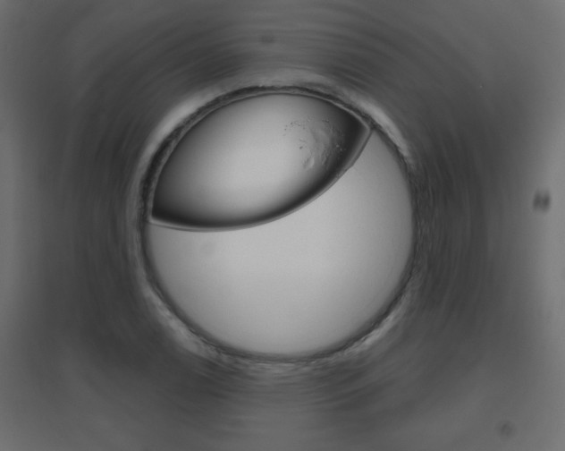 X0000096631122200802050927