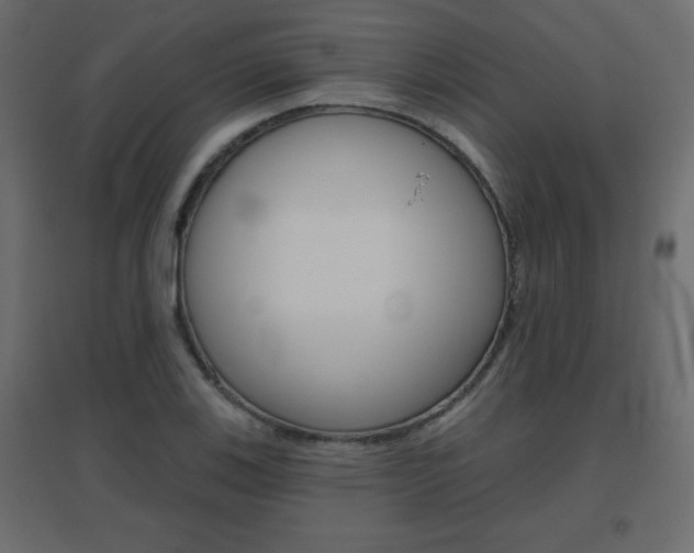 X0000096631123200802050927