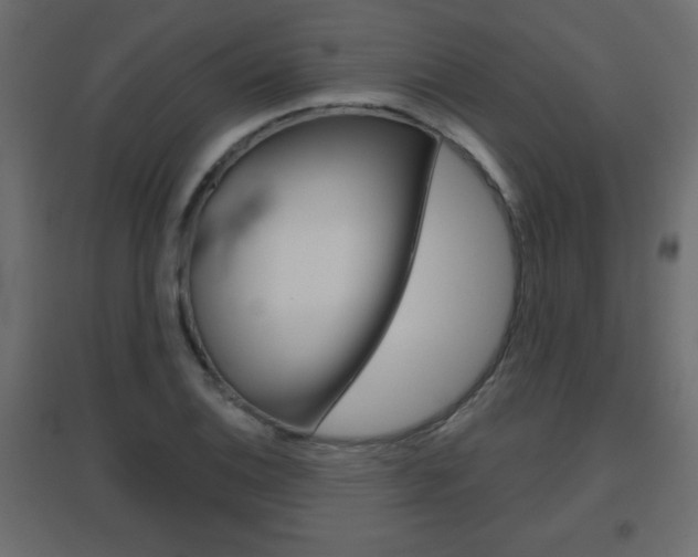 X0000096631124200802050927