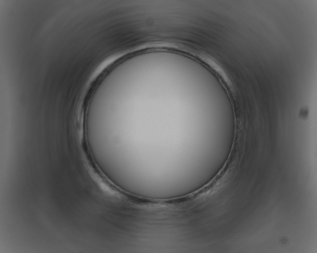 X0000096631127200802050927