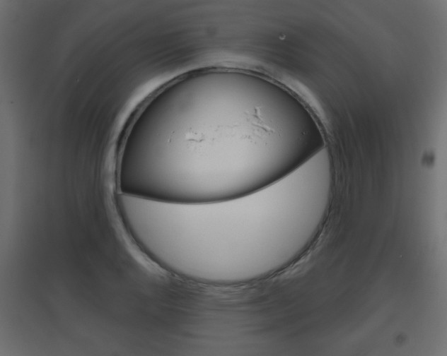 X0000096631128200802050927