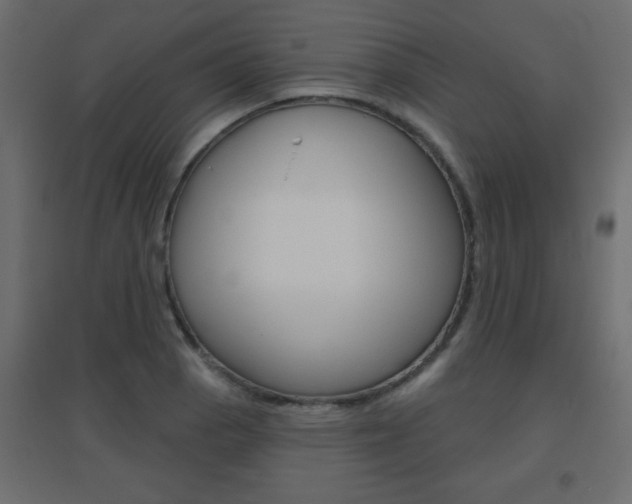 X0000096631129200802050927