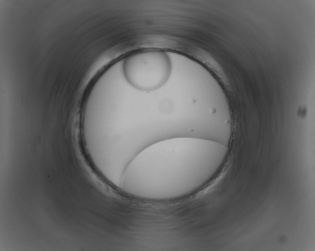 X0000096631130200802050927