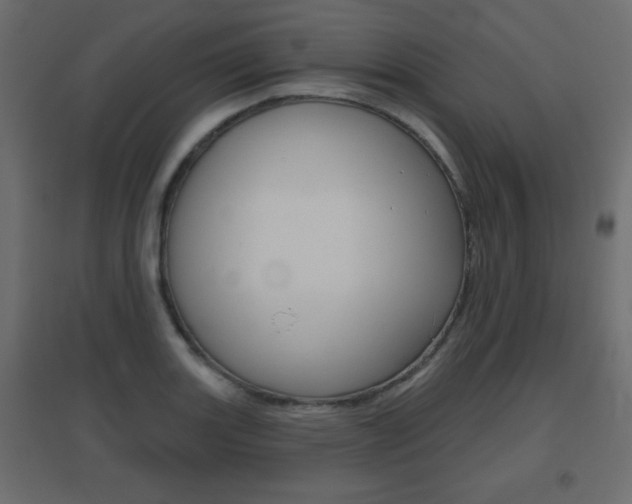 X0000096631131200802050927