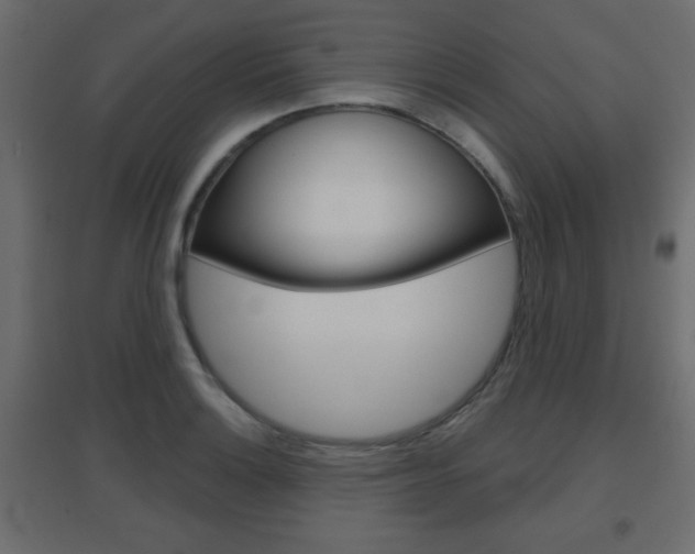 X0000096631132200802050927