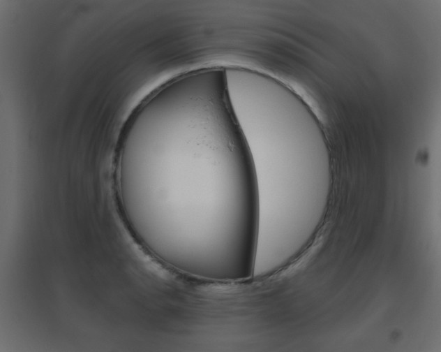 X0000096631134200802050927
