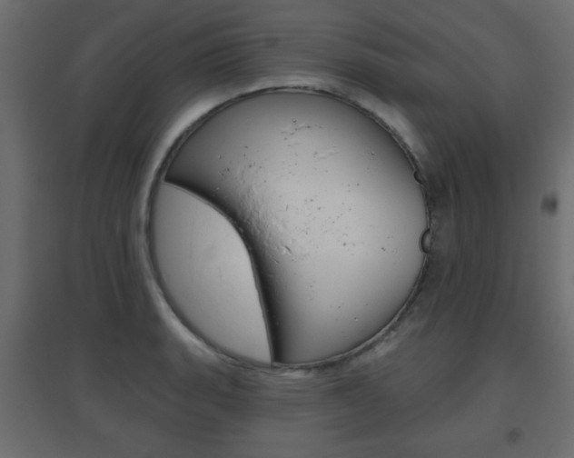 X0000096631135200802050927