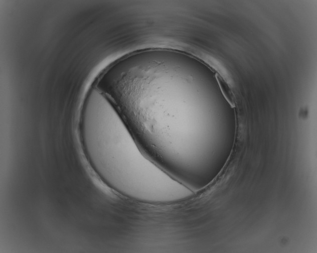 X0000096631136200802050927