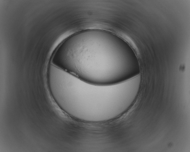 X0000096631138200802050927