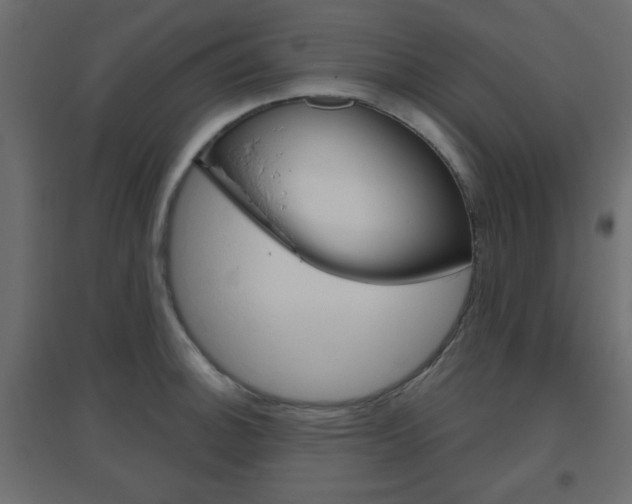 X0000096631140200802050927