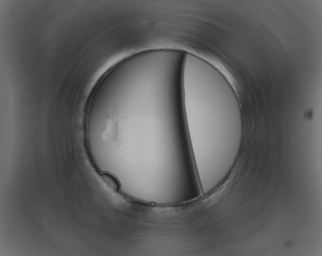 X0000096631142200802050927
