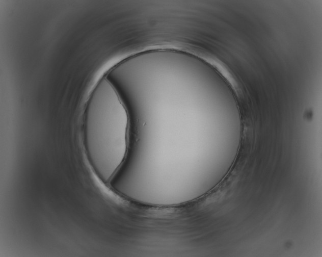 X0000096631143200802050927