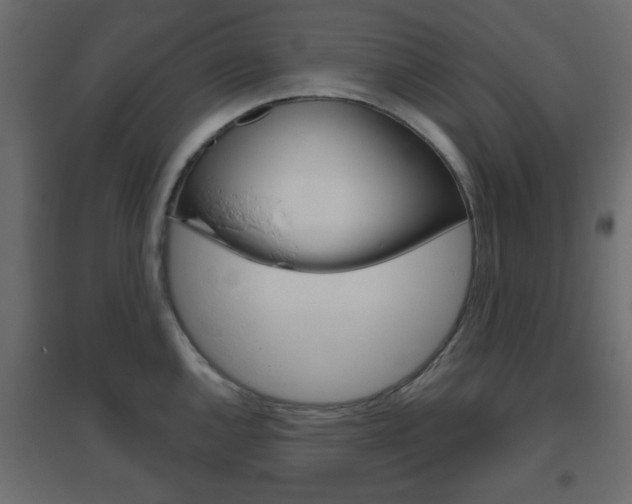 X0000096631144200802050927