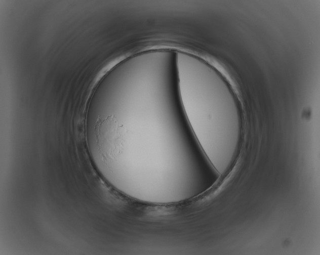 X0000096631145200802050928