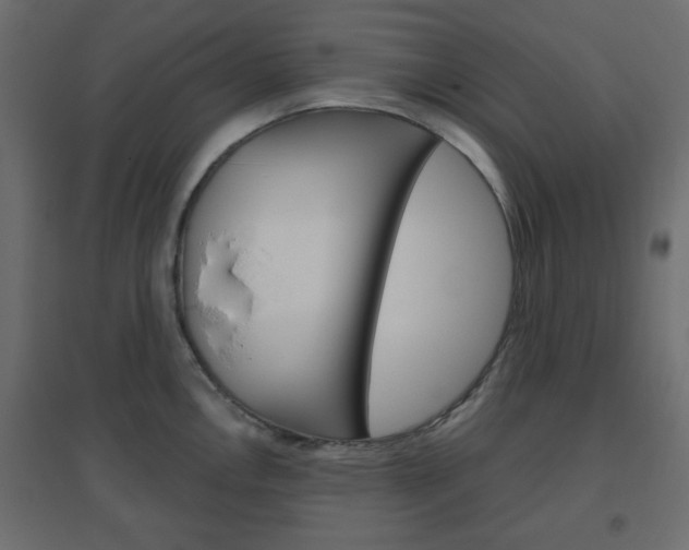 X0000096631146200802050928