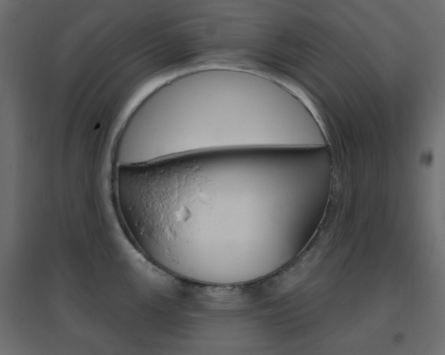 X0000096631147200802050928