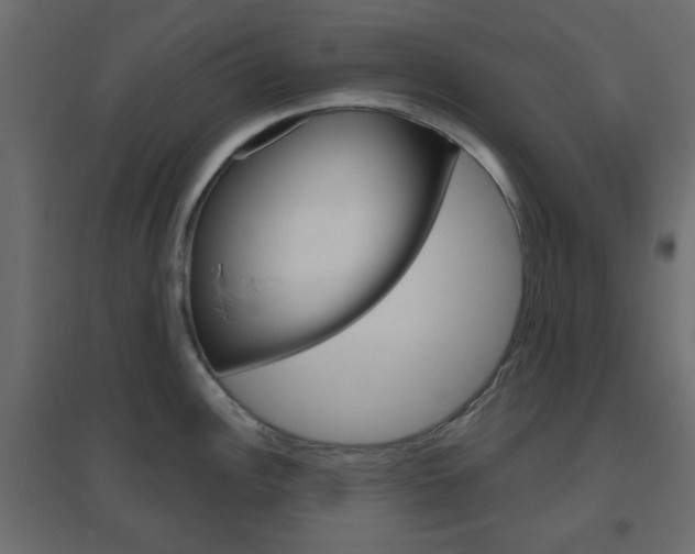X0000096631148200802050928