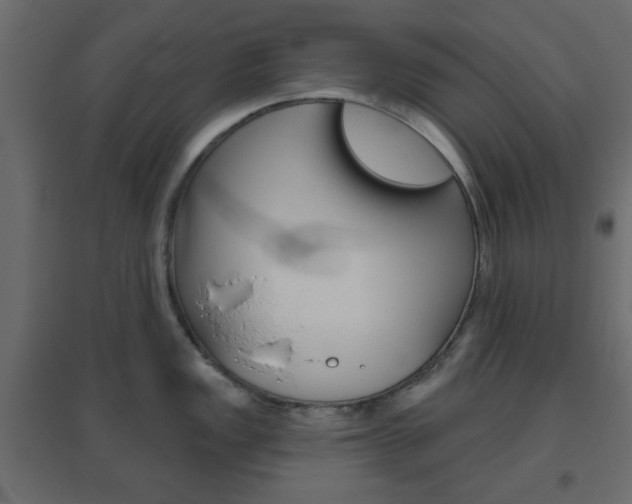 X0000096631149200802050928