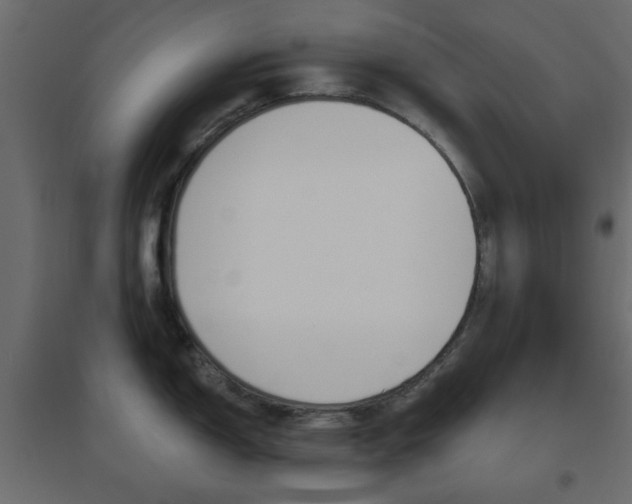 X0000096631150200802050928