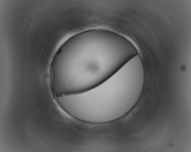X0000096631151200802050928