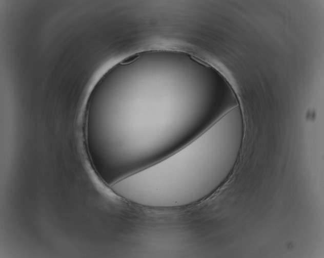 X0000096631152200802050928