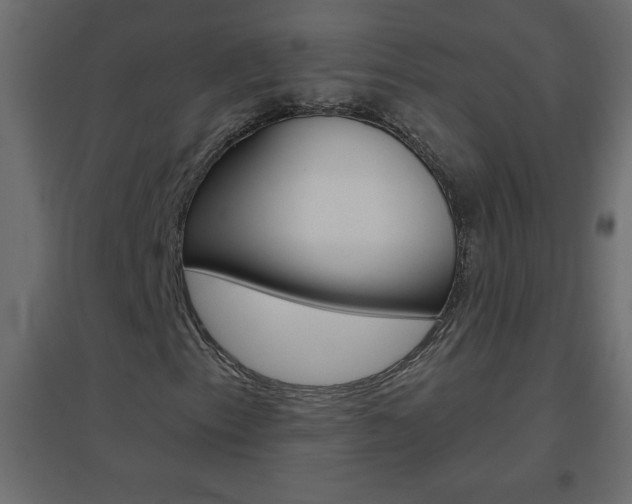 X0000096631153200802050927