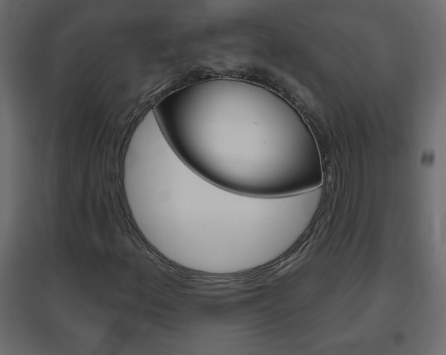 X0000096631156200802050927