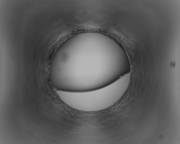 X0000096631157200802050927