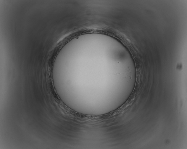 X0000096631158200802050927