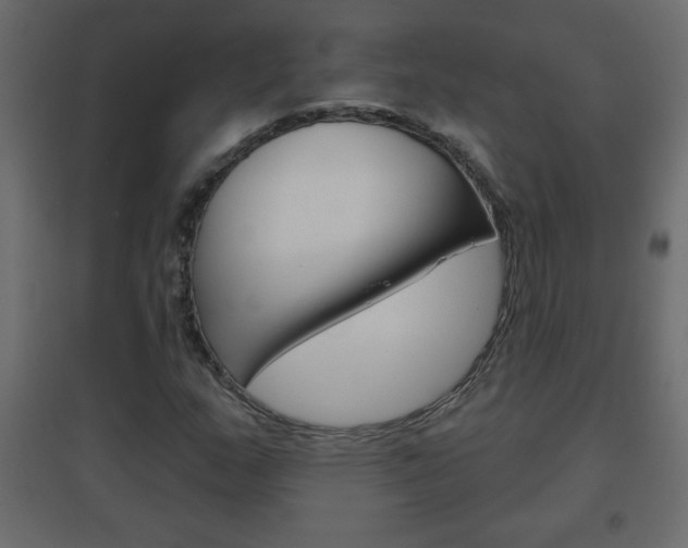 X0000096631159200802050927