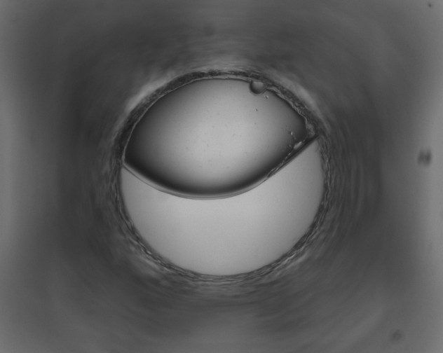 X0000096631160200802050927