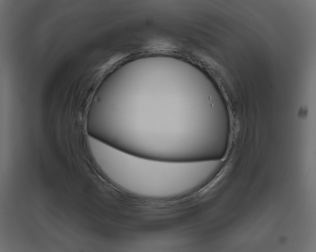 X0000096631161200802050927