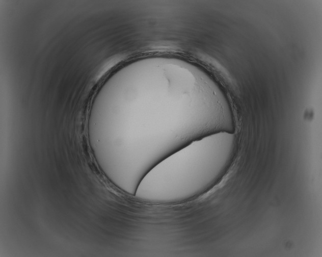 X0000096631162200802050927