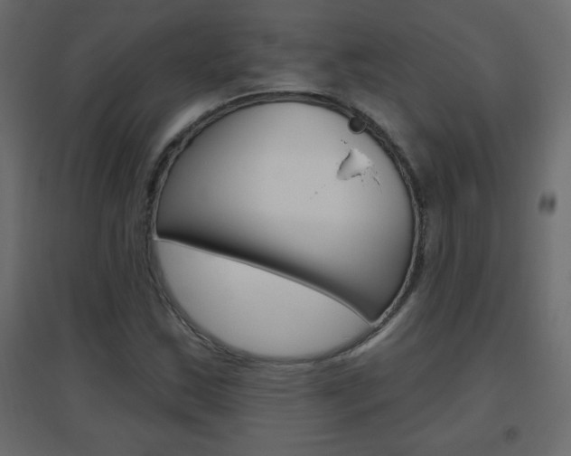 X0000096631163200802050927